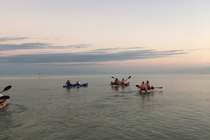 Esperienza in kayak nelle mangrovie dell'isola di Holbox