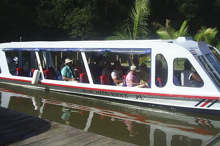 Veragua Rainforest Walk, Tram & Tortuguero Boat Tour. Limon Shore Excursion
