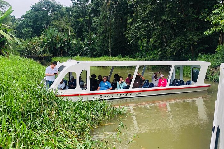 Veragua Rainforest Walk, Tram & Tortuguero Boat Tour. Limon Shore Excursion