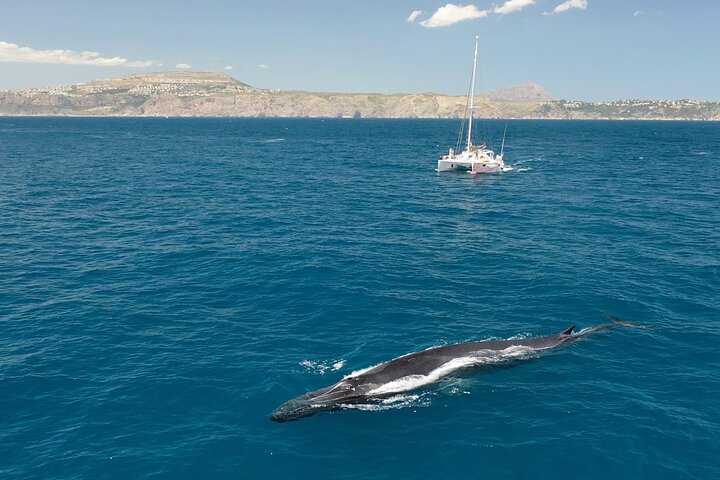Une journée en mer depuis Dénia ou Jávea avec barbecue à bord du catamaran