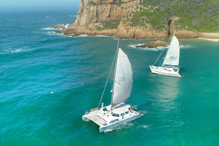 Knysna Sunset Sailing Cruise med kaptensbiff Braai & Bubbly