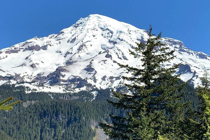 Guided hike on Mt. Rainier - old forest, falls and glacier views