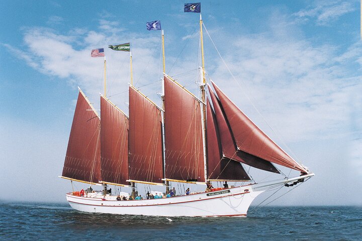 1,5 tot 2 uur windjammer zeiltocht in Maine met kapitein met licentie