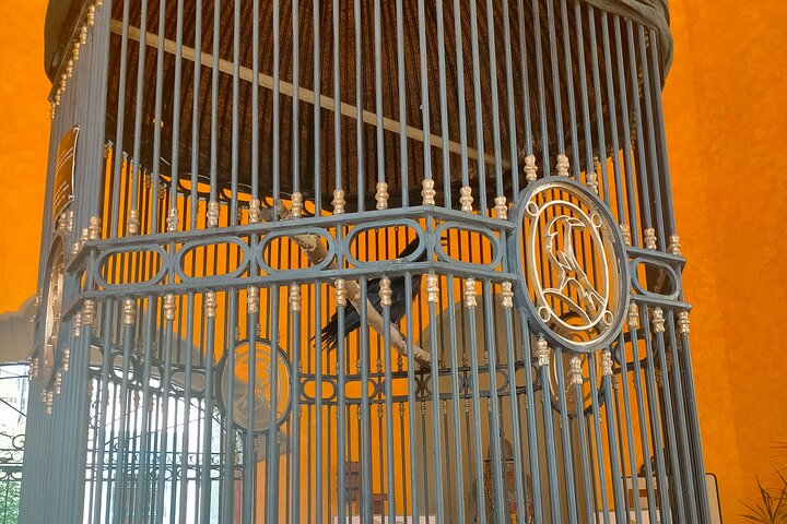 José Cuervo Tequila Tour & Agave Champs au départ de Guadalajara