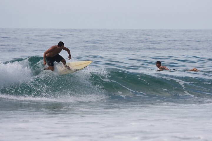 Escursione alle spiagge di Trindade - Natura e mare BY PARATY TOURS