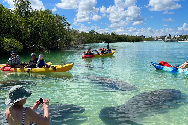 EcoTour guidato dell'isola: kayak CLEAR/Standard, SUP - Bonita Springs