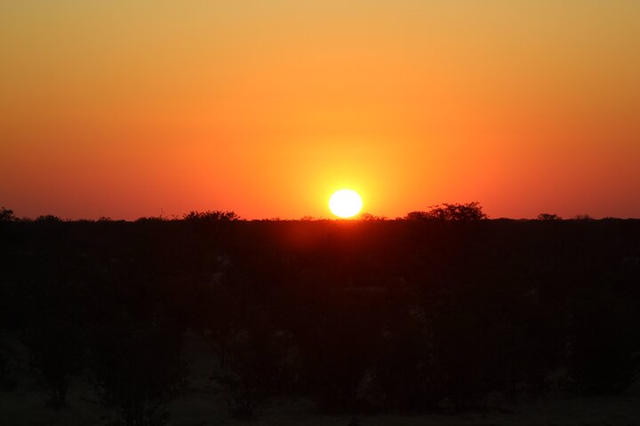 Safari no parque nacional de Etosha com guias profissionais nascidos em Etosha.