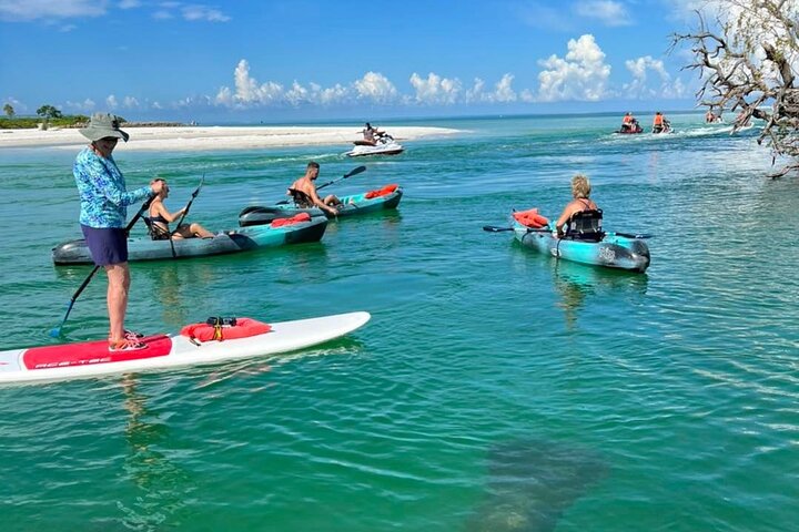 EcoTour guidato dell'isola: kayak CLEAR/Standard, SUP - Bonita Springs