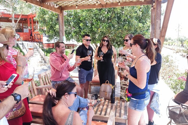 Visite gastronomique et œnologique premium de la vallée de Guadalupe