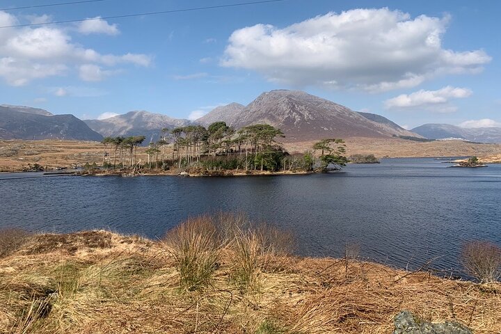 Private Luxus-Führung durch Connemara ab Westport oder Ballina