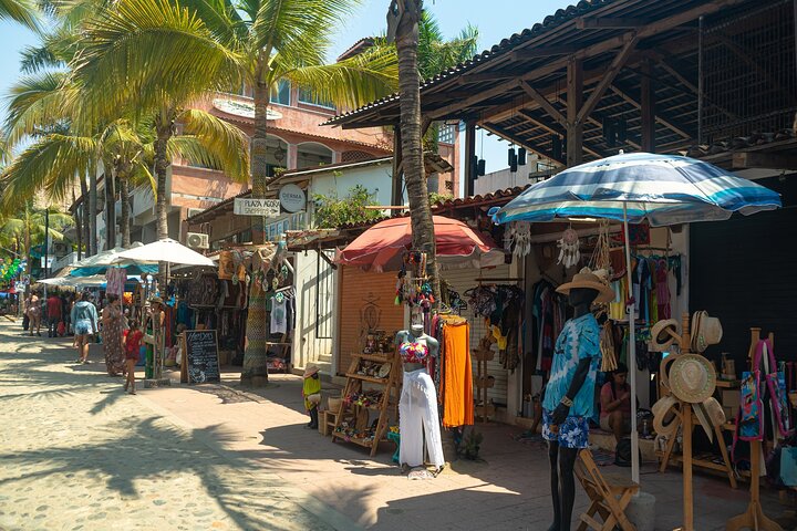 Tour delle spiagge di Sayulita e San Pancho