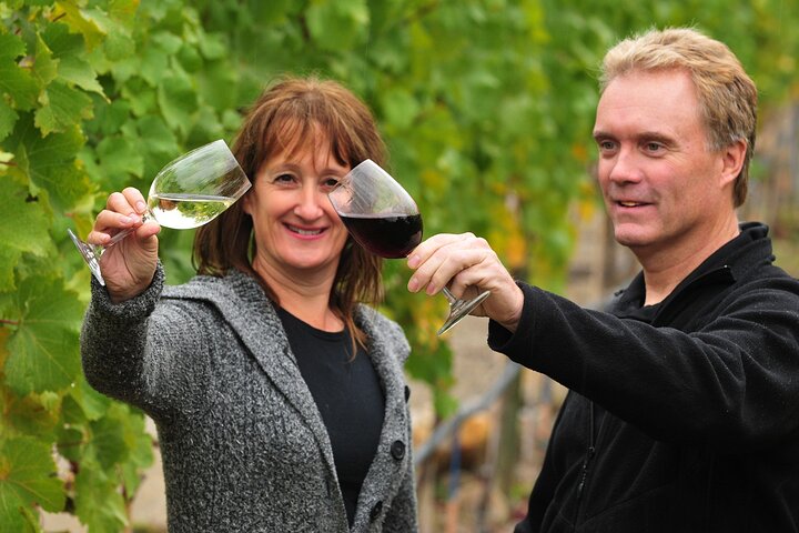 Visite du vin de Kelowna en vélo électrique avec dégustations, déjeuner et vue sur l'Okanagan