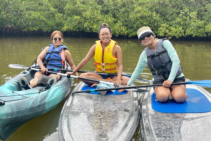 EcoTour guidato dell'isola: kayak CLEAR/Standard, SUP - Bonita Springs