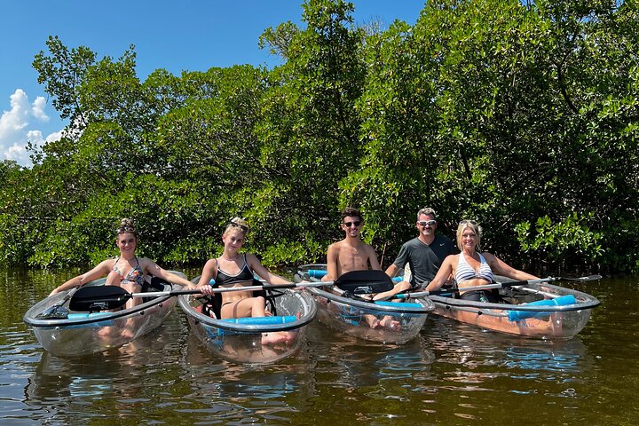 EcoTour guidato dell'isola: kayak CLEAR/Standard, SUP - Bonita Springs
