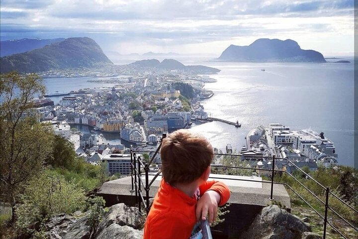 Ålesund Shore Excursion en 6 prachtige hoogtepunt haltes minibus