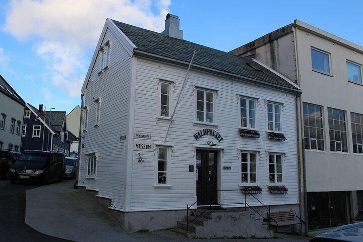 Ålesund Shore Excursion en 6 prachtige hoogtepunt haltes minibus