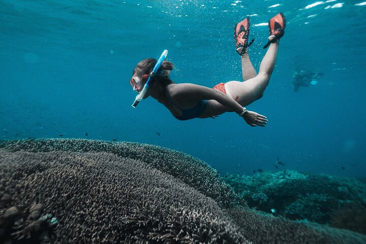 Dagsutflykt till Nusa Penida Snorkling och landstur