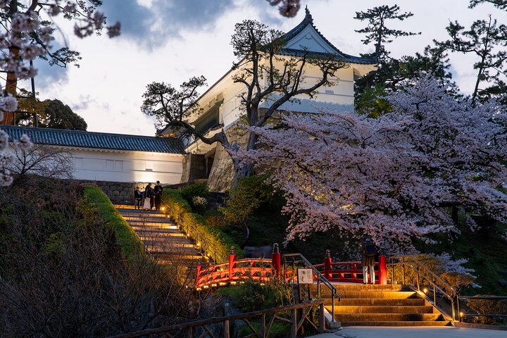 Odawara slott och stad guidad upptäcktsresa
