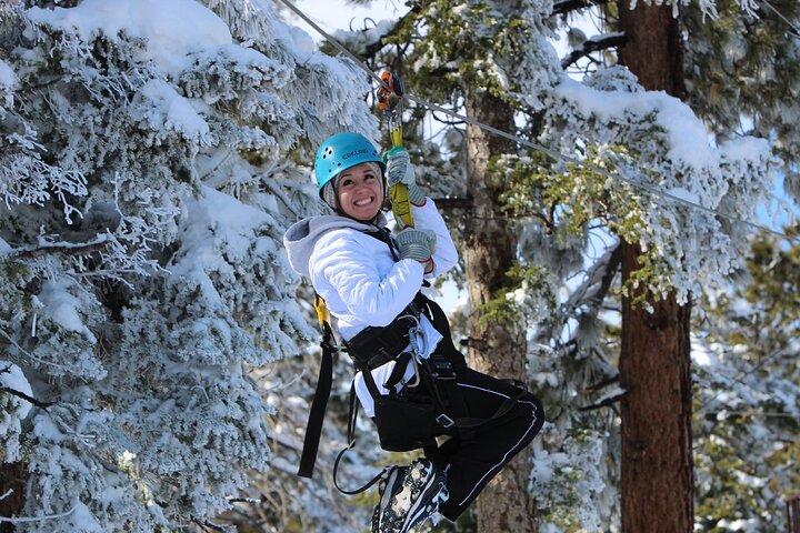 Zipline Tour: 9 linee zip ad alta velocità e divertente ponte sospeso