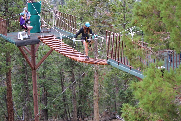 Zipline Tour: 9 linee zip ad alta velocità e divertente ponte sospeso