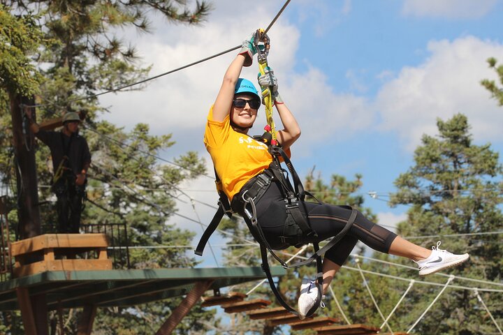 Zipline Tour: 9 linee zip ad alta velocità e divertente ponte sospeso