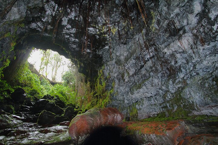 Excursión en tierra de Hilo : Volcán Safari Cuevas de lava & Arena Negra