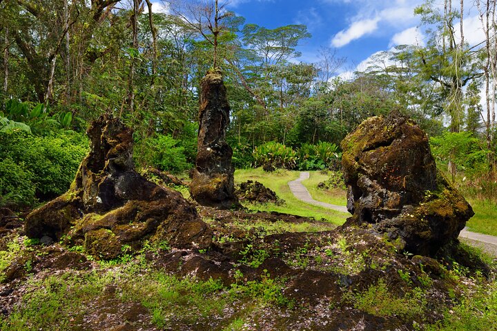 Excursión en tierra de Hilo : Volcán Safari Cuevas de lava & Arena Negra