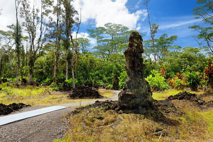 Excursión en tierra de Hilo : Volcán Safari Cuevas de lava & Arena Negra