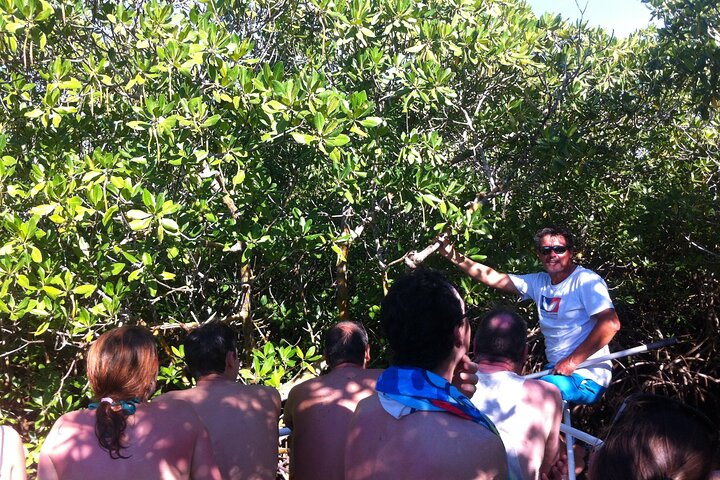 Boat trip visit Mangroves, islets and lagoon