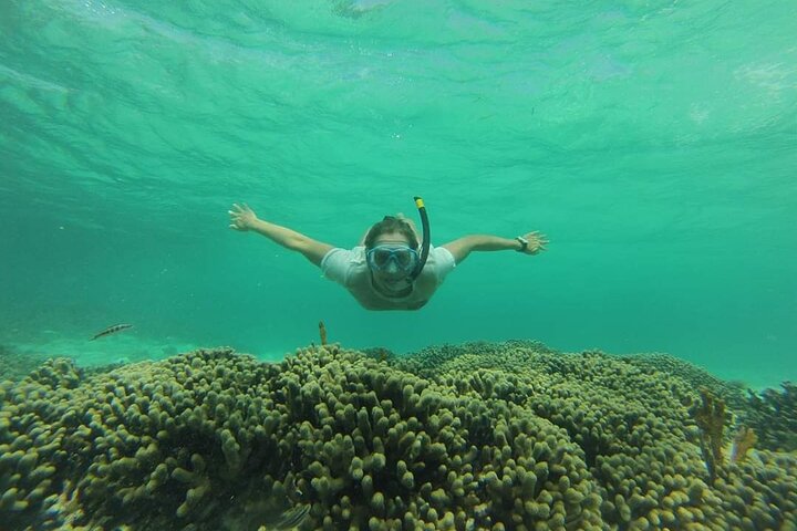 Boat trip visit Mangroves, islets and lagoon