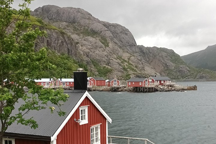 Visite privée VIP des Lofoten au départ de la ville/du port de Leknes