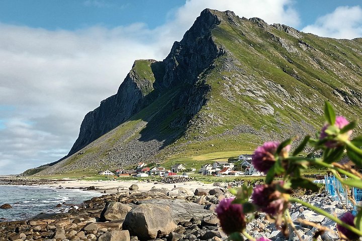 Visite privée VIP des Lofoten au départ de la ville/du port de Leknes