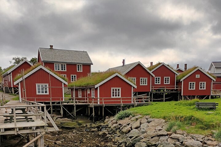 Visite privée VIP des Lofoten au départ de la ville/du port de Leknes