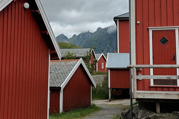 Visite privée VIP des Lofoten au départ de la ville/du port de Leknes