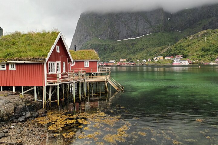 Visite privée VIP des Lofoten au départ de la ville/du port de Leknes