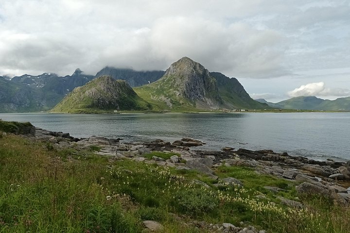 Visite privée VIP des Lofoten au départ de la ville/du port de Leknes