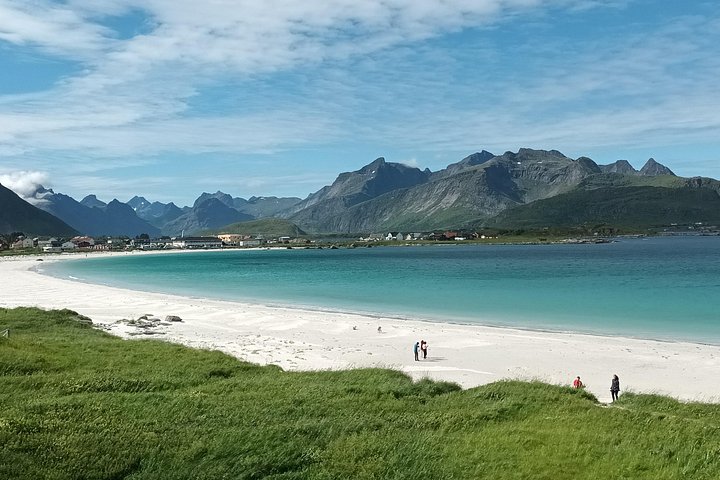 Visite privée VIP des Lofoten au départ de la ville/du port de Leknes