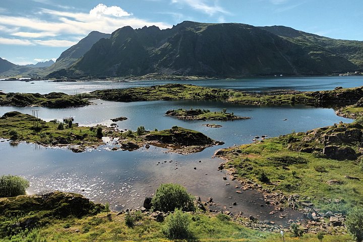 Visite privée VIP des Lofoten au départ de la ville/du port de Leknes