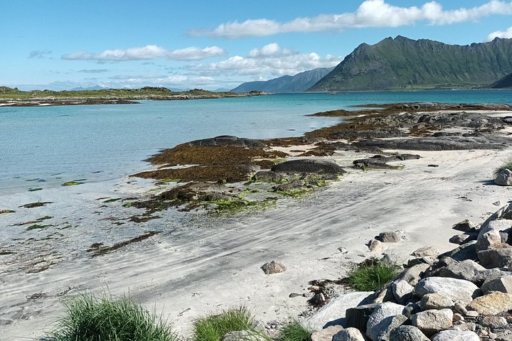 Visite privée VIP des Lofoten au départ de la ville/du port de Leknes