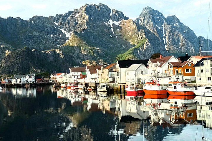 Visite privée VIP des Lofoten au départ de la ville/du port de Leknes