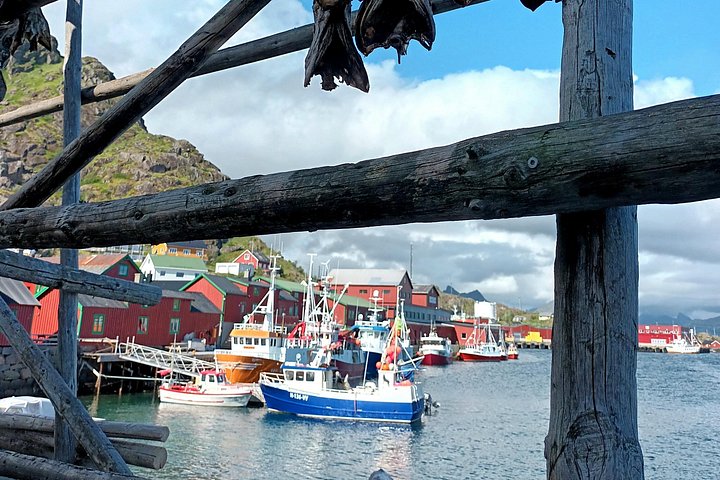 Visite privée VIP des Lofoten au départ de la ville/du port de Leknes