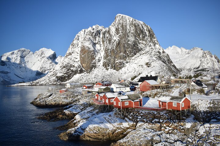 Visite privée VIP des Lofoten au départ de la ville/du port de Leknes