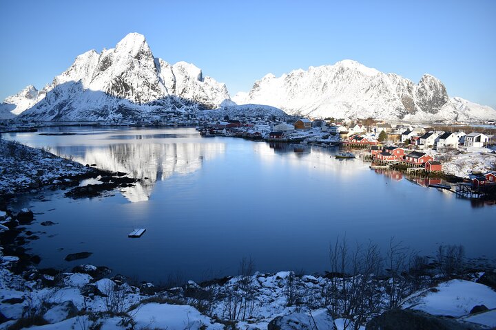 Visite privée VIP des Lofoten au départ de la ville/du port de Leknes