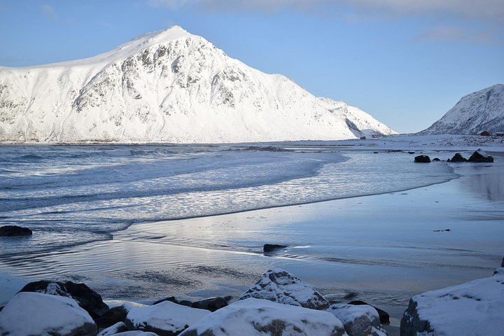 Visite privée VIP des Lofoten au départ de la ville/du port de Leknes