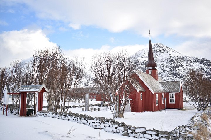 Visite privée VIP des Lofoten au départ de la ville/du port de Leknes