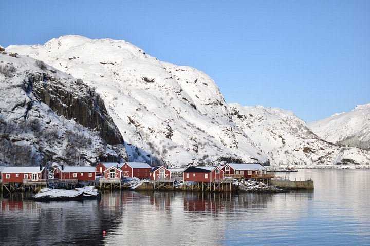 Visite privée VIP des Lofoten au départ de la ville/du port de Leknes