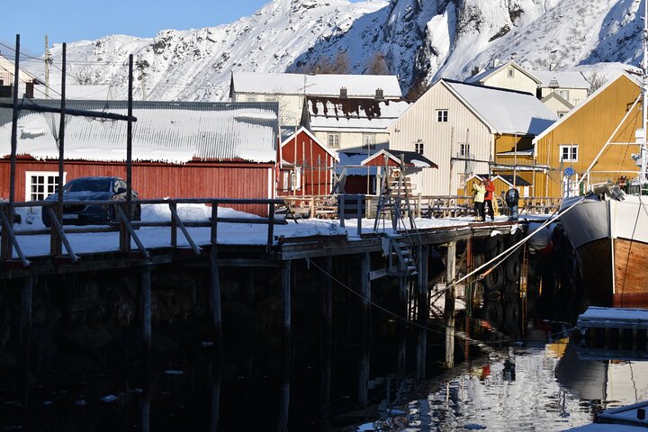 Visite privée VIP des Lofoten au départ de la ville/du port de Leknes