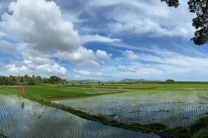 Cataratas Can-umantad y terrazas de arroz candijay Eco Tour