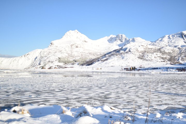 Visite privée VIP des Lofoten au départ de la ville/du port de Leknes