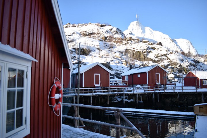 Visite privée VIP des Lofoten au départ de la ville/du port de Leknes